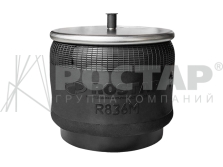 Внешний вид детали «Рессора пневматическая (стальной стакан) R836DFS12»